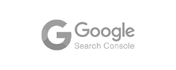 Logo Google Search Console
