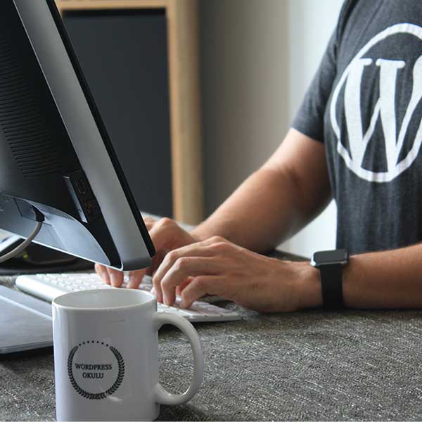 WordPress Plugin Entwicklung